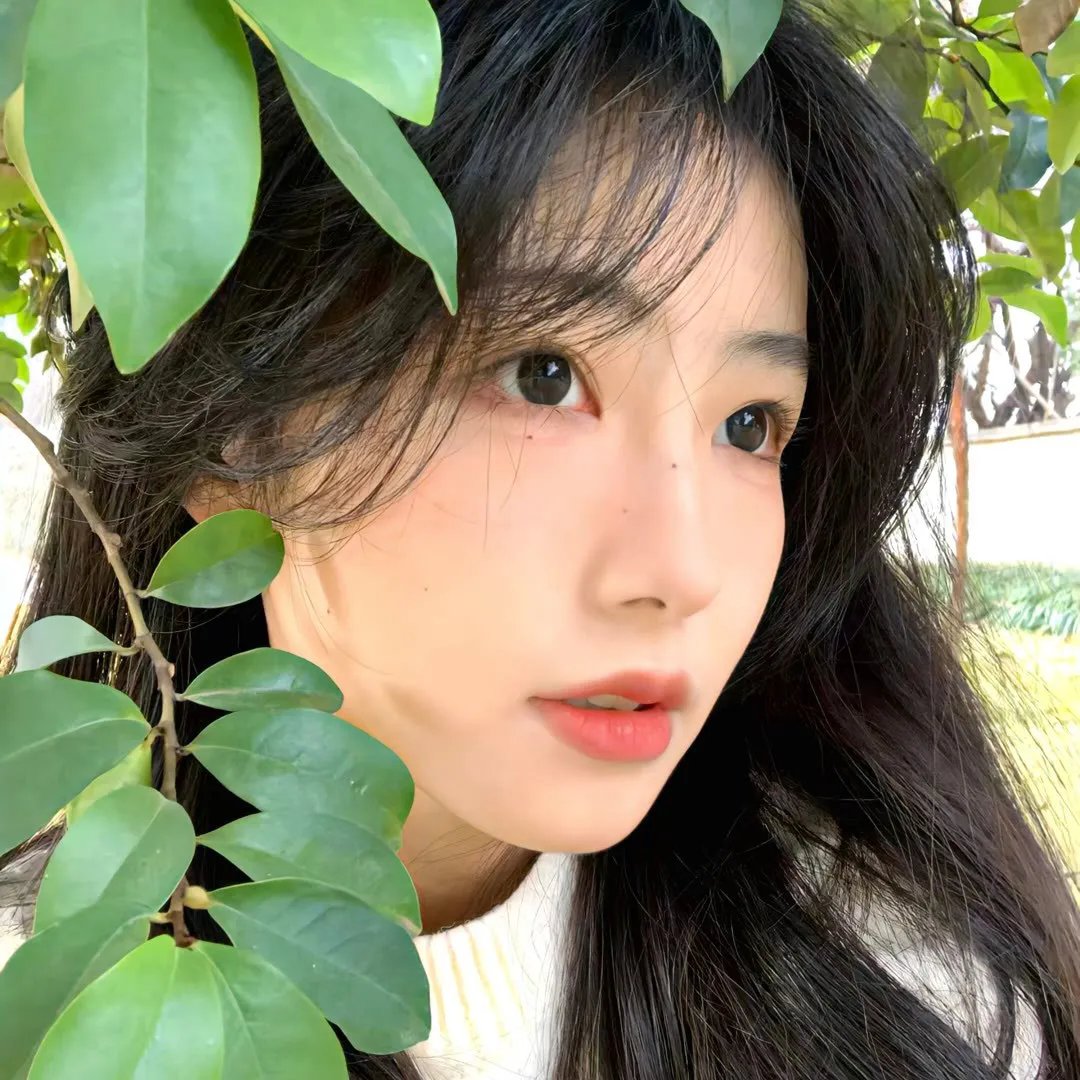 蕾恩
